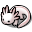 misc - axolotl